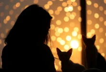 Como usar gatilhos mentais para aumentar bastante as suas conversões