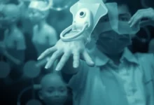O Guia do Psicólogo para Captar Pacientes sem Pagar Anúncios