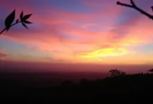 Por que os seus vídeos no TikTok não estão tendo views nenhum