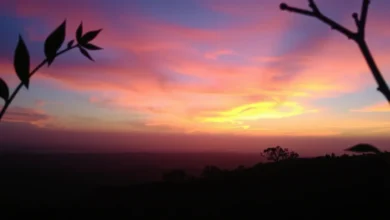 Por que os seus vídeos no TikTok não estão tendo views nenhum