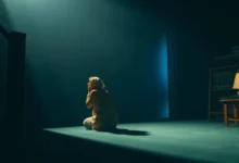 The Post e a importância da liberdade de imprensa no cinema